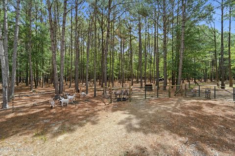 Tiny photo for 295 Mayberry Lane, Richlands, NC 28574 (MLS # 100573846)