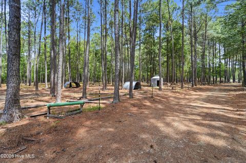 Tiny photo for 295 Mayberry Lane, Richlands, NC 28574 (MLS # 100573846)