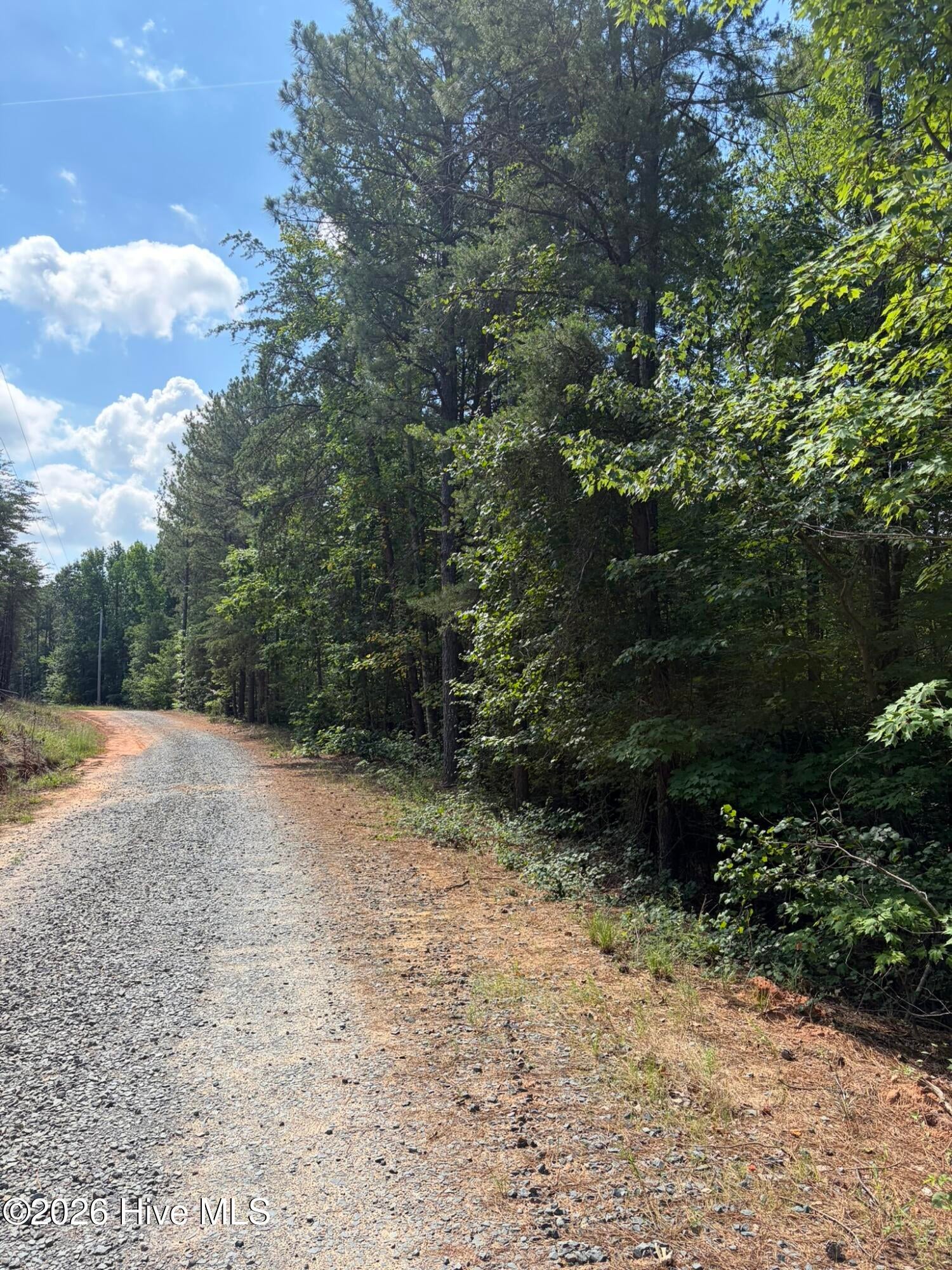 Tbd Green Road