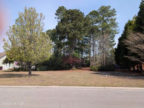 Photo of 6645 Shire Lane, Wilmington, NC 28411 (MLS # 100561837)