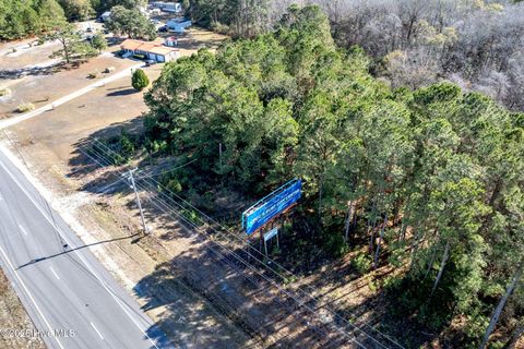 Tiny photo for 24324 Us Highway 17, Hampstead, NC 28443 (MLS # 100544492)