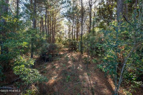 Tiny photo for 24324 Us Highway 17, Hampstead, NC 28443 (MLS # 100544492)