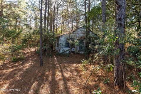 Tiny photo for 24324 Us Highway 17, Hampstead, NC 28443 (MLS # 100544492)
