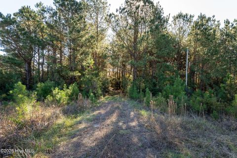 Tiny photo for 24324 Us Highway 17, Hampstead, NC 28443 (MLS # 100544492)