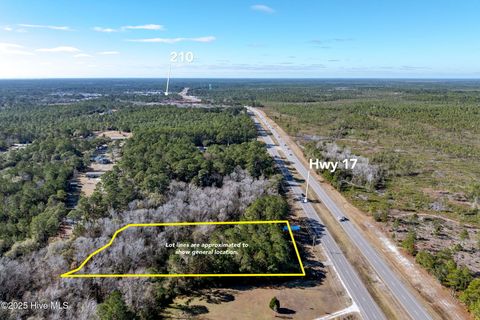 Photo of 24324 Us Highway 17, Hampstead, NC 28443 (MLS # 100544492)