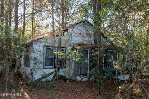 Tiny photo for 24324 Us Highway 17, Hampstead, NC 28443 (MLS # 100544492)