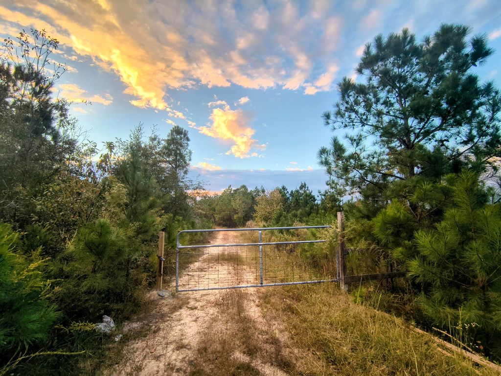 Photo of 2427 Wire Road, Aiken, SC 29805 (MLS # 548565)