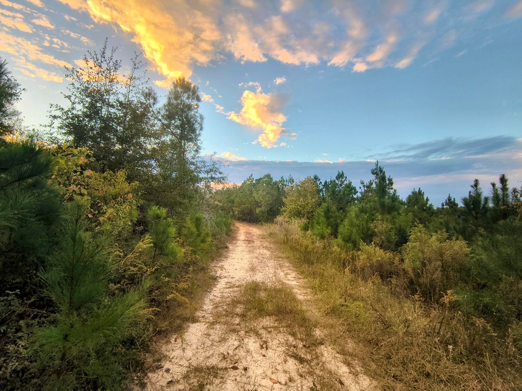 Photo of 2427 Wire Road, Aiken, SC 29805 (MLS # 548565)