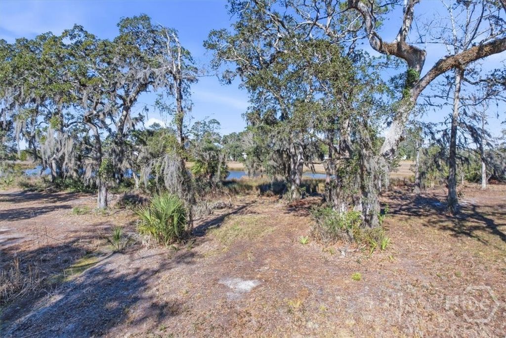 Photo of 3 Bermuda Bluff Lane, Midway, GA 31320 (MLS # SA348556)