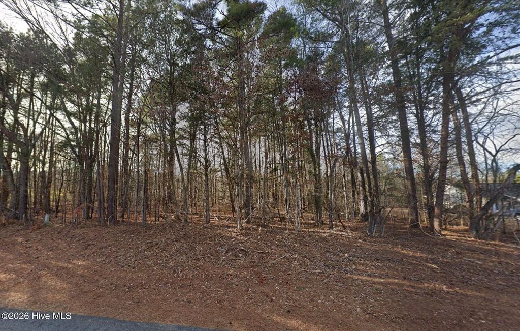 Photo of 906 Rock Hurst Drive, Gibsonville, NC 27249 (MLS # 100591396)