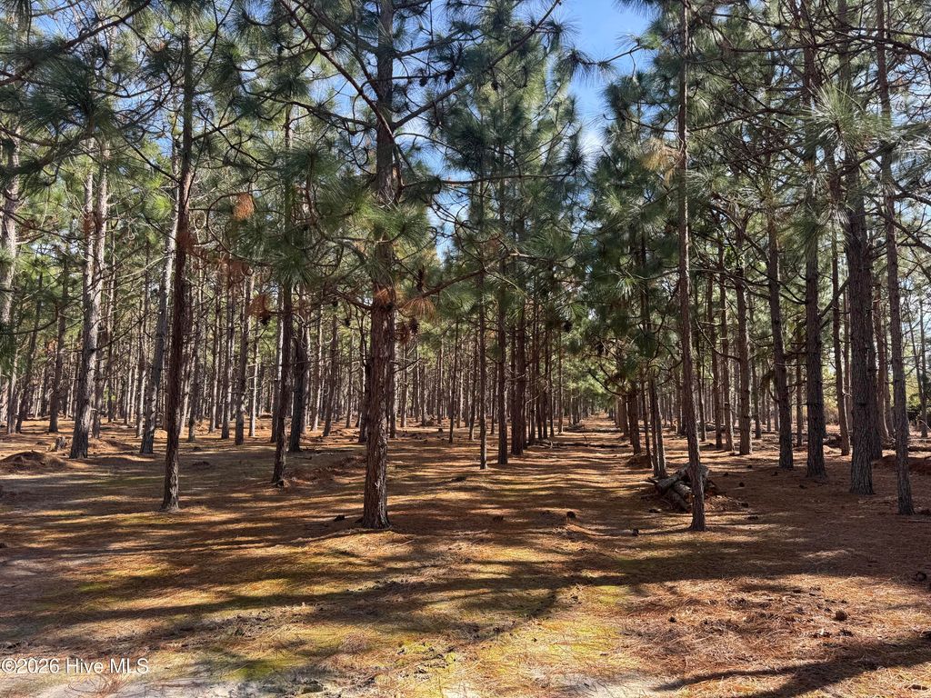 Photo of 0 Butler Mill Road, Bladenboro, NC 28320 (MLS # 100555374)