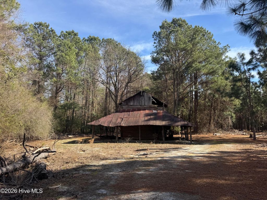 Photo of 0 Butler Mill Road, Bladenboro, NC 28320 (MLS # 100555374)