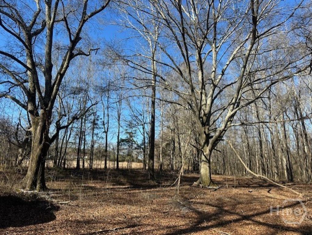 Photo of 2644 Nunnally Shoals Tract 2 Road, Good Hope, GA 30641 (MLS # CL347749)