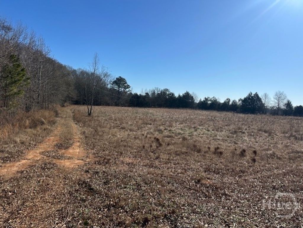 Photo of 2644 Nunnally Shoals Tract 2 Road, Good Hope, GA 30641 (MLS # CL347749)