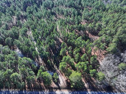 Vacant Land For Sale - TBD Nc Hwy 130 Road<br/> Fairmont, NC 28340