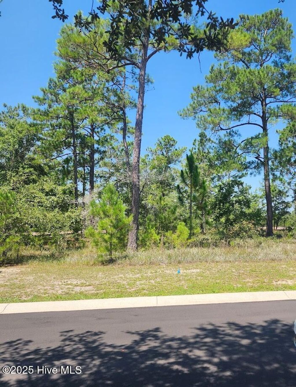 Photo of 551 Glitter Bay Court, Shallotte, NC 28470 (MLS # 100529776)