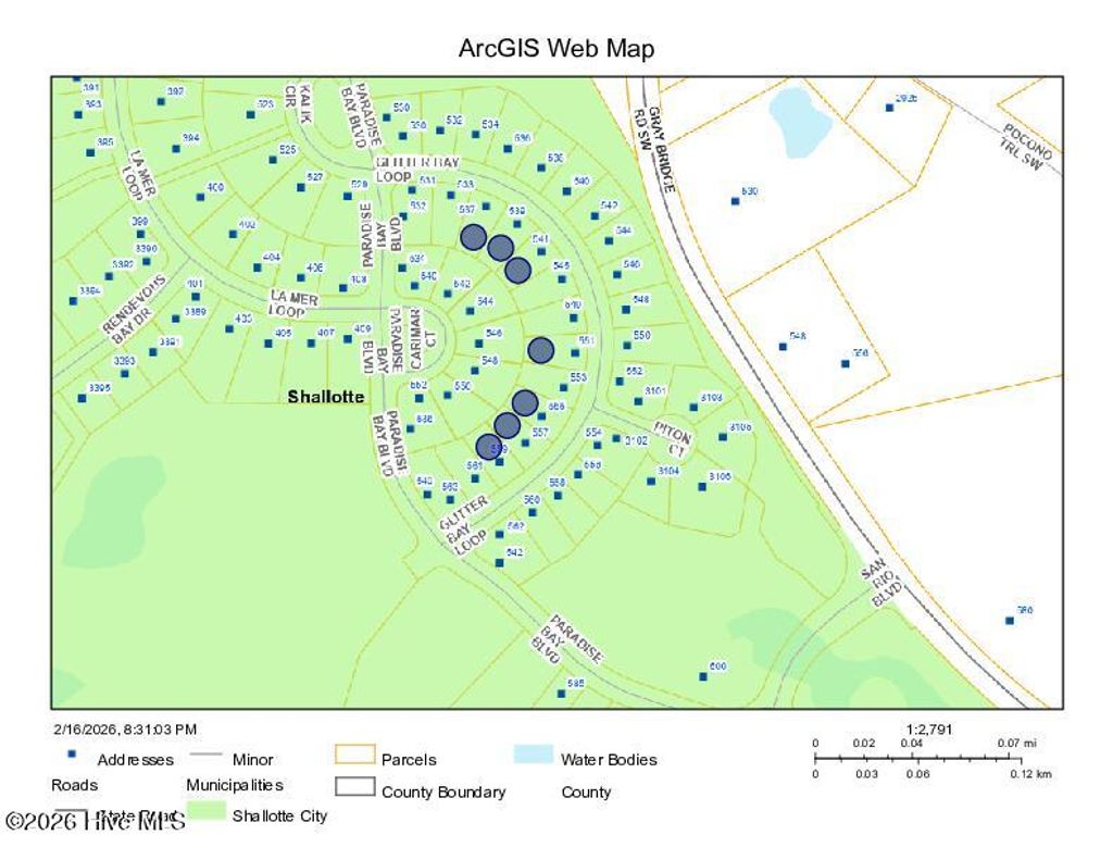 Photo of 551 Glitter Bay Court, Shallotte, NC 28470 (MLS # 100529776)