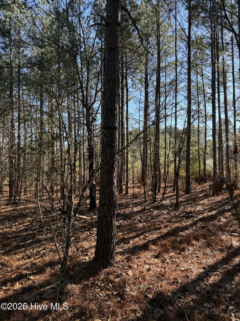 Photo of 257 Lakeview Lane, Cameron, NC 28326 (MLS # 100553406)