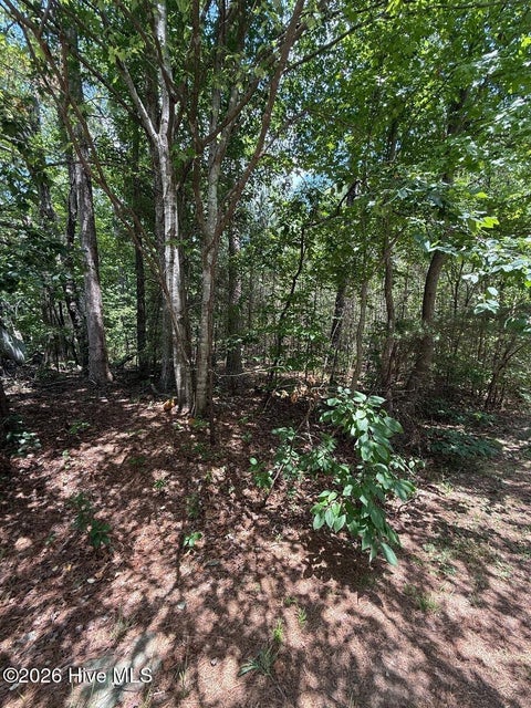 Vacant Land For Sale - 7801 Grand Lillie Drive<br/> Durham County, Durham, NC 27712