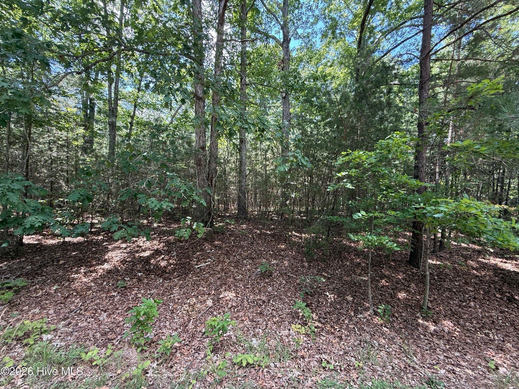 Photo of 7801 Grand Lillie Drive, Durham, NC 27712 (MLS # 100587050)
