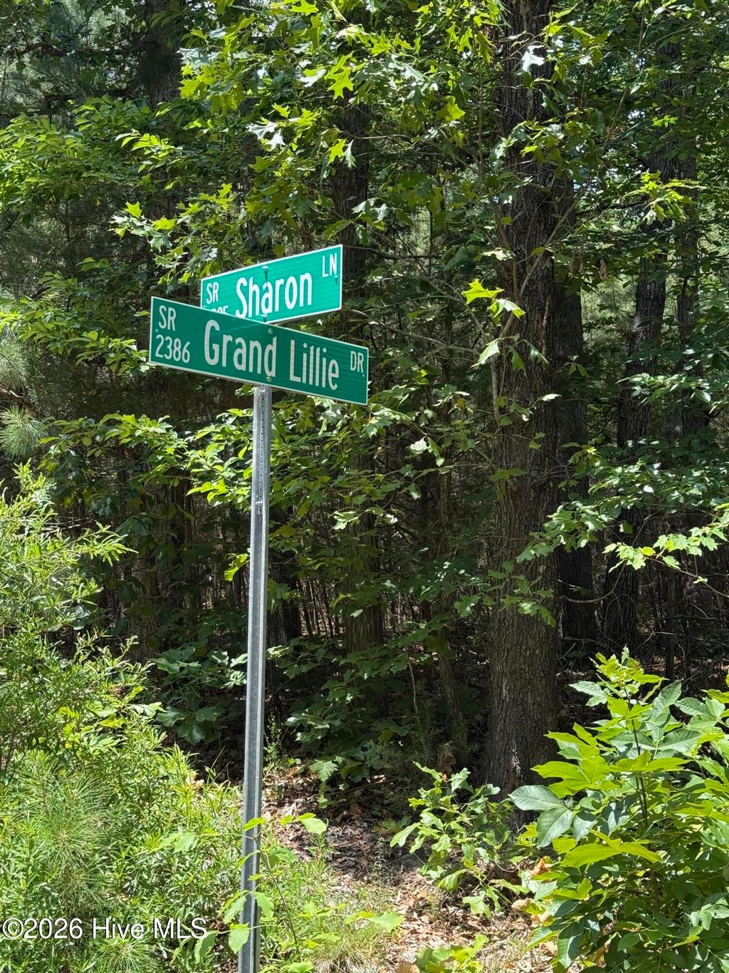 Photo of 7801 Grand Lillie Drive, Durham, NC 27712 (MLS # 100587050)