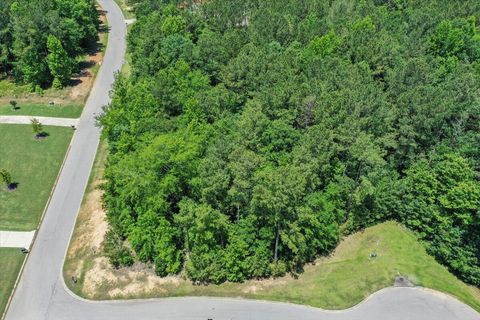 Vacant Land For Sale - LOT P-38 Eutaw Springs Trail<br/> Edgefield County, North Augusta, SC 29860