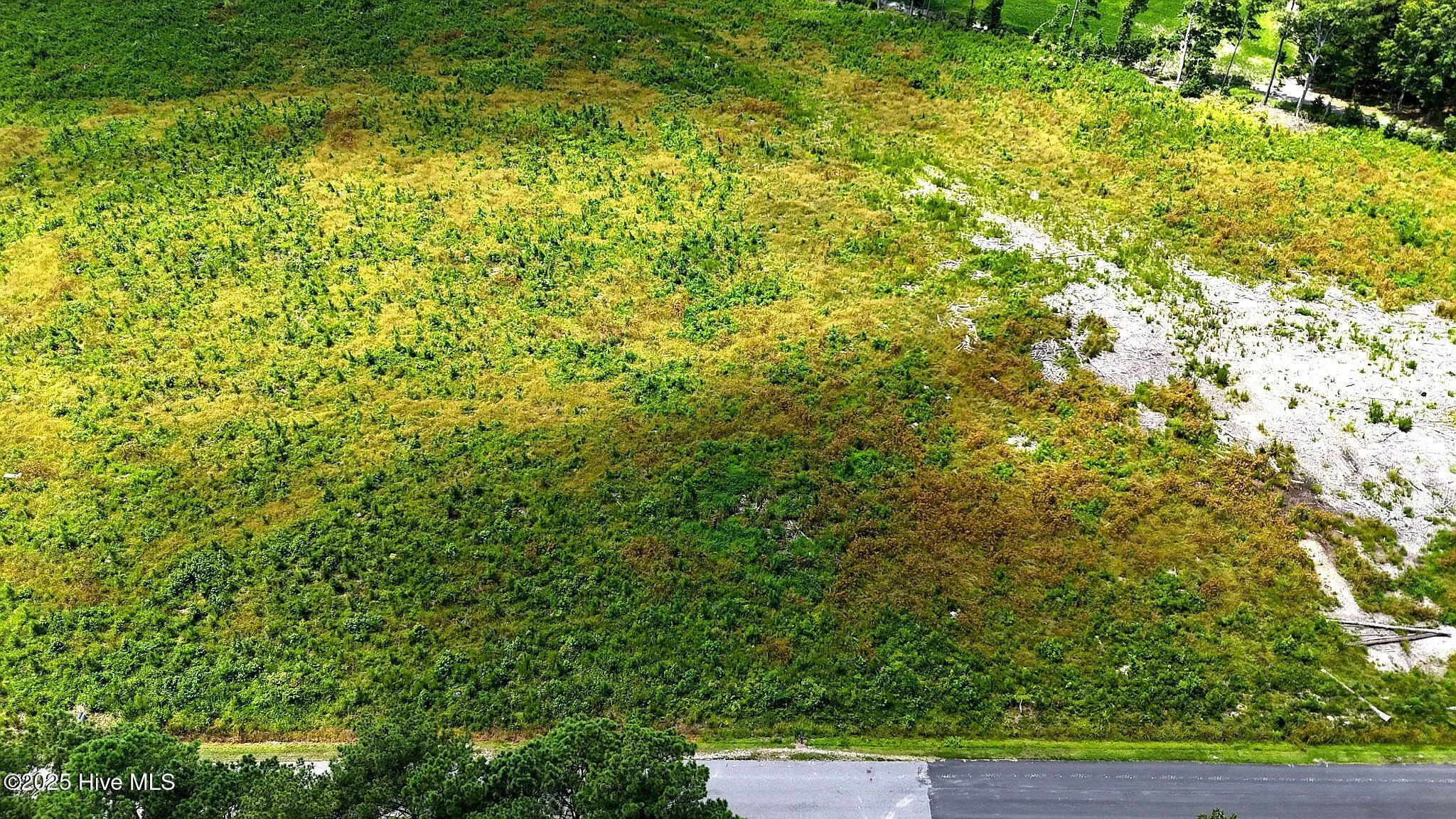 Tbd Cove Road, New Hope, NC, 27944