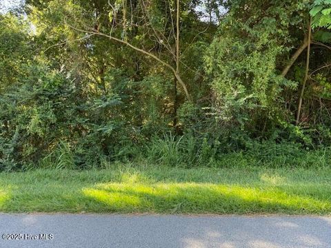Vacant Land For Sale - 220 Montpelier Drive<br/> Chowan County, Edenton, NC 27932