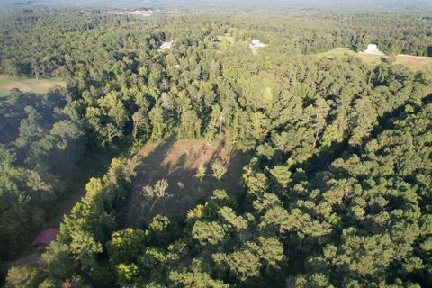 Vacant Land For Sale - 00 Thurmond Road<br/> Edgefield County, Clarks Hill, SC 29821