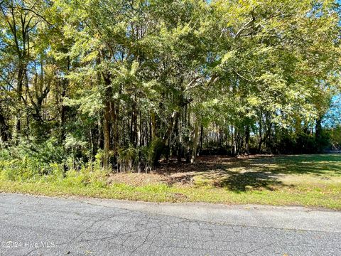 Vacant Land For Sale - 1239 Chance Boulevard<br/> Robersonville, NC 27871