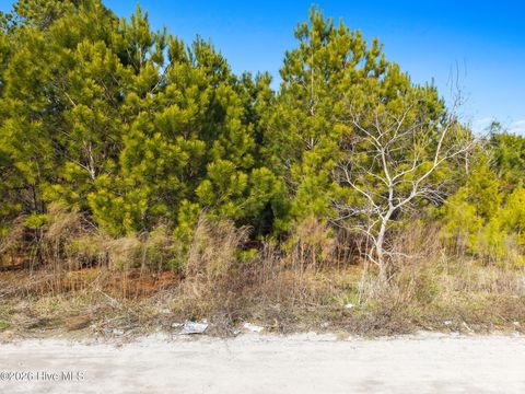 Tiny photo for 1212 Easy Street SE, Bolivia, NC 28422 (MLS # 100557084)