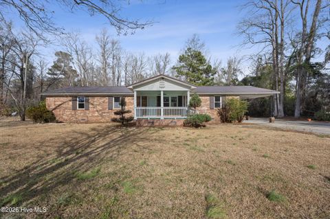 Photo of 18809 Nc Highway 87 Hwy E, Riegelwood, NC 28456 (MLS # 100547402)