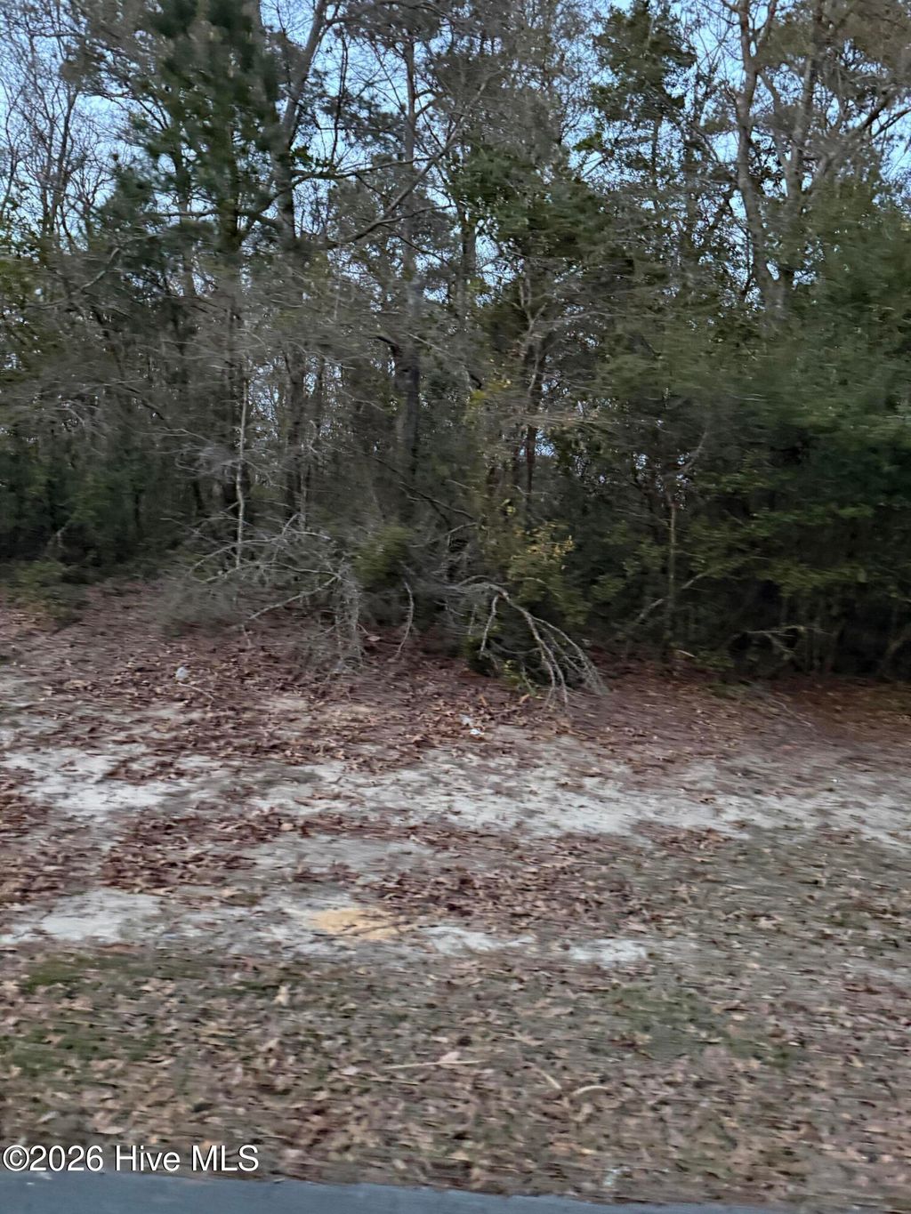 Photo of 109 Cove Court, Sneads Ferry, NC 28460 (MLS # 100563795)