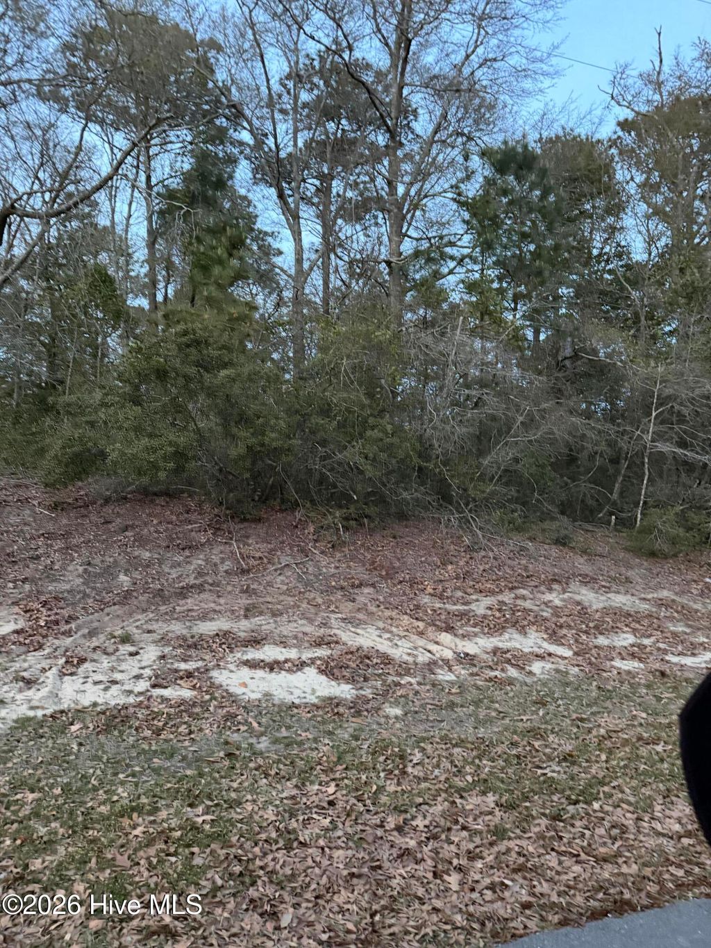 Photo of 109 Cove Court, Sneads Ferry, NC 28460 (MLS # 100563795)