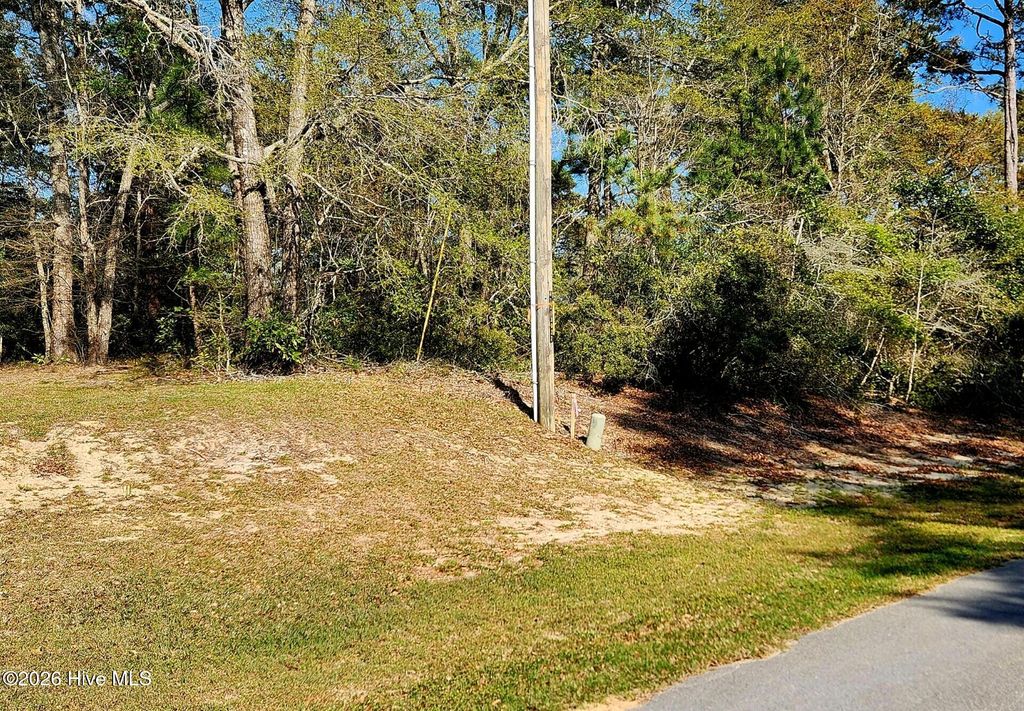 Photo of 109 Cove Court, Sneads Ferry, NC 28460 (MLS # 100563795)