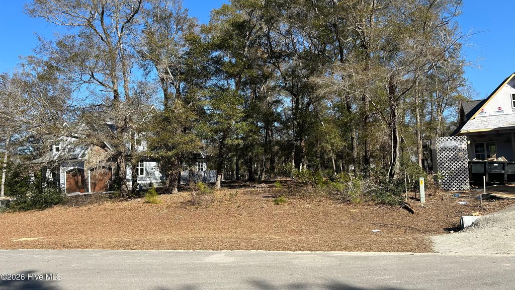 Photo of 3323 Four Water View SW, Supply, NC 28462 (MLS # 100552358)