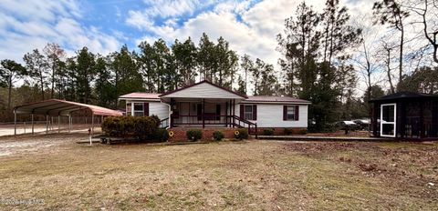 Photo of 17341 Lauch Blue Road, Laurel Hill, NC 28351 (MLS # 100549668)
