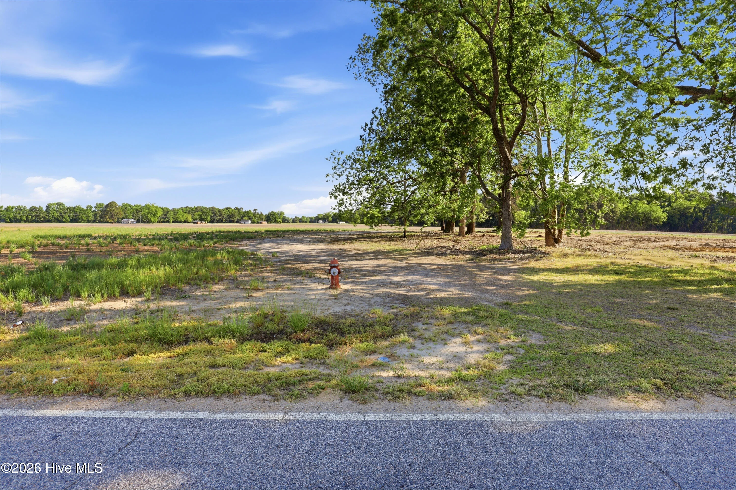 1150 Waller Road, Mount Olive, NC, 28365