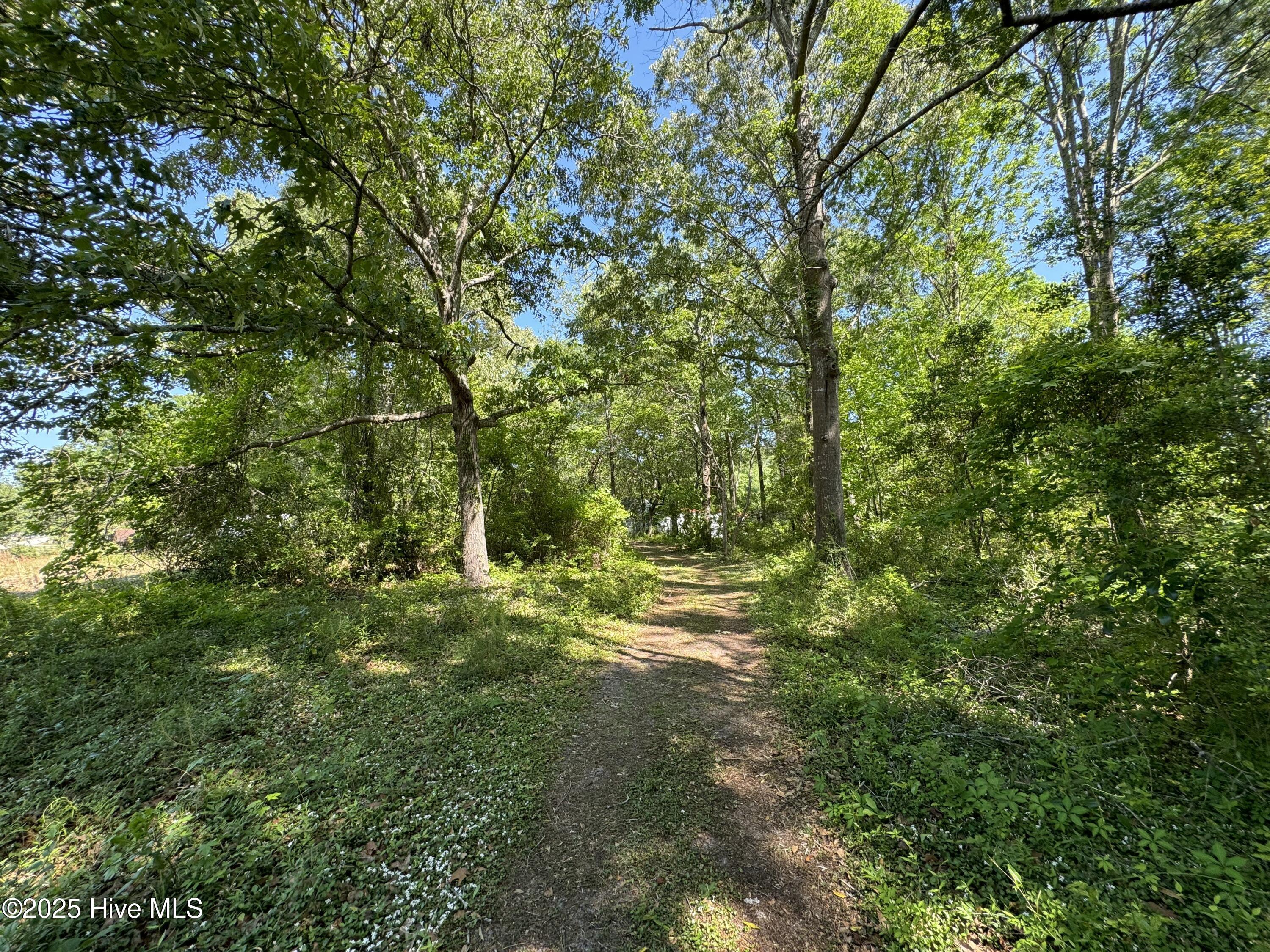 2209 Forest Drive SW