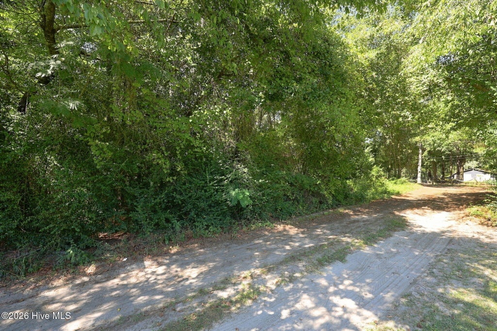 Photo of 163 John Hall Farm Lane, Beulaville, NC 28518 (MLS # 100603889)