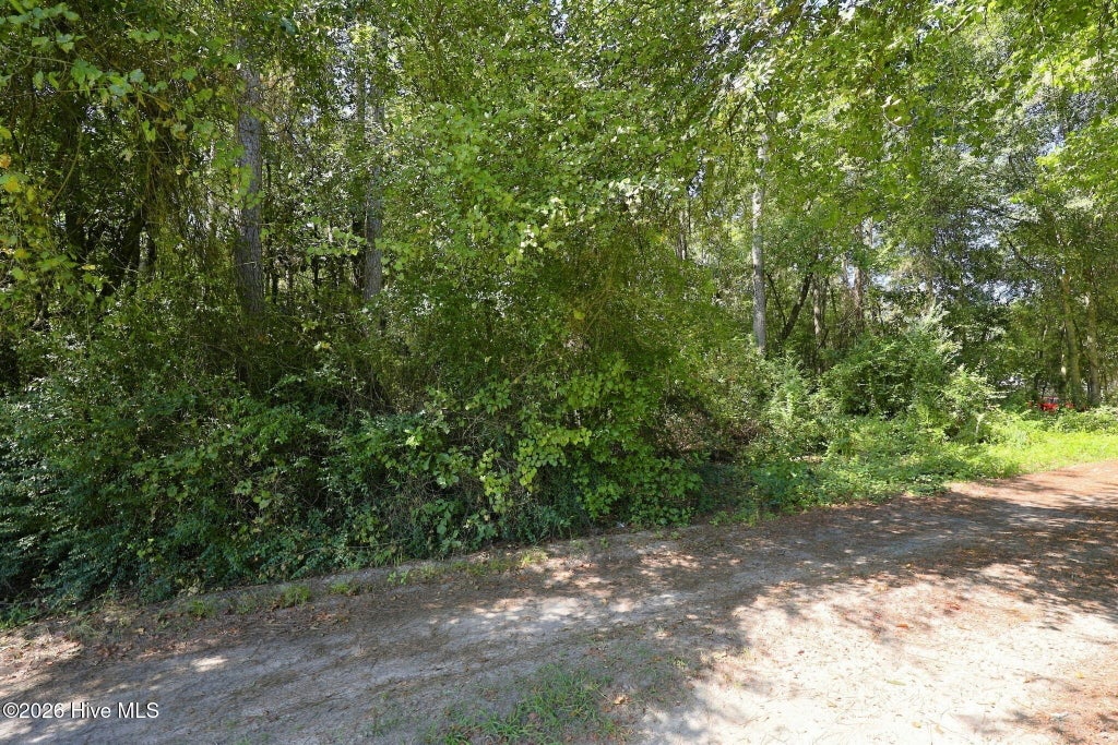 Photo of 163 John Hall Farm Lane, Beulaville, NC 28518 (MLS # 100603889)