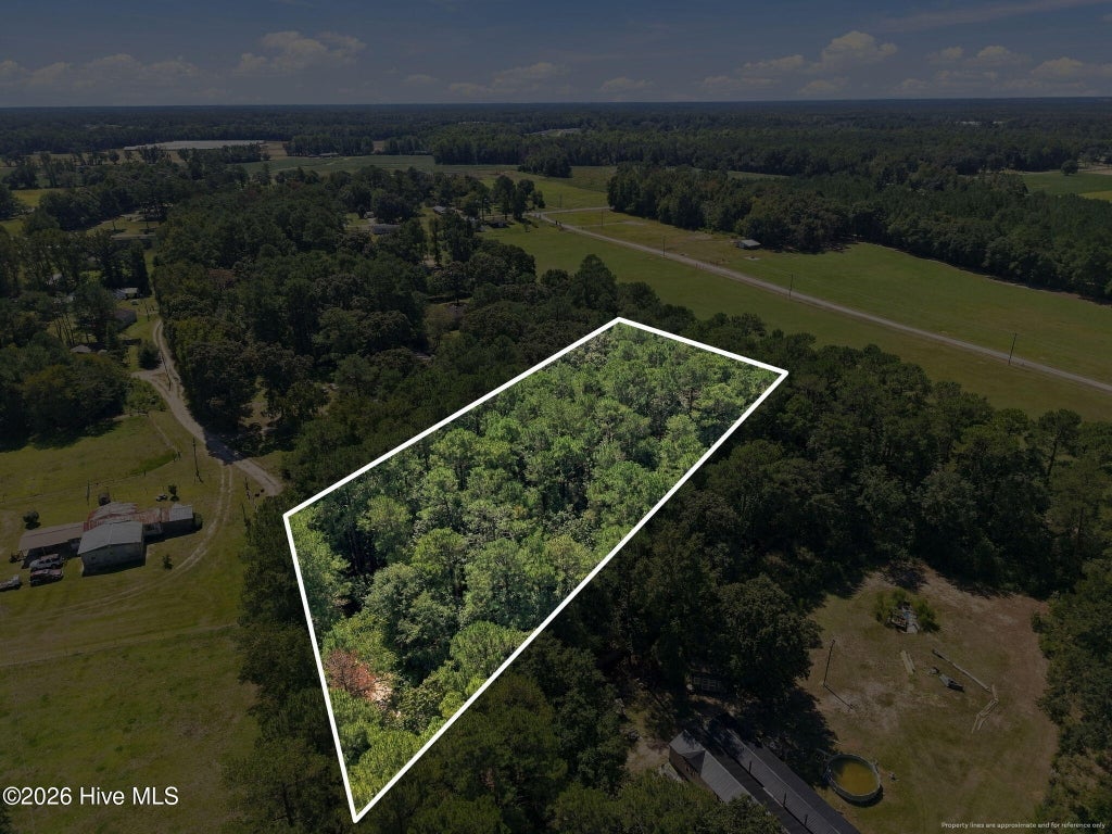 Photo of 163 John Hall Farm Lane, Beulaville, NC 28518 (MLS # 100603889)