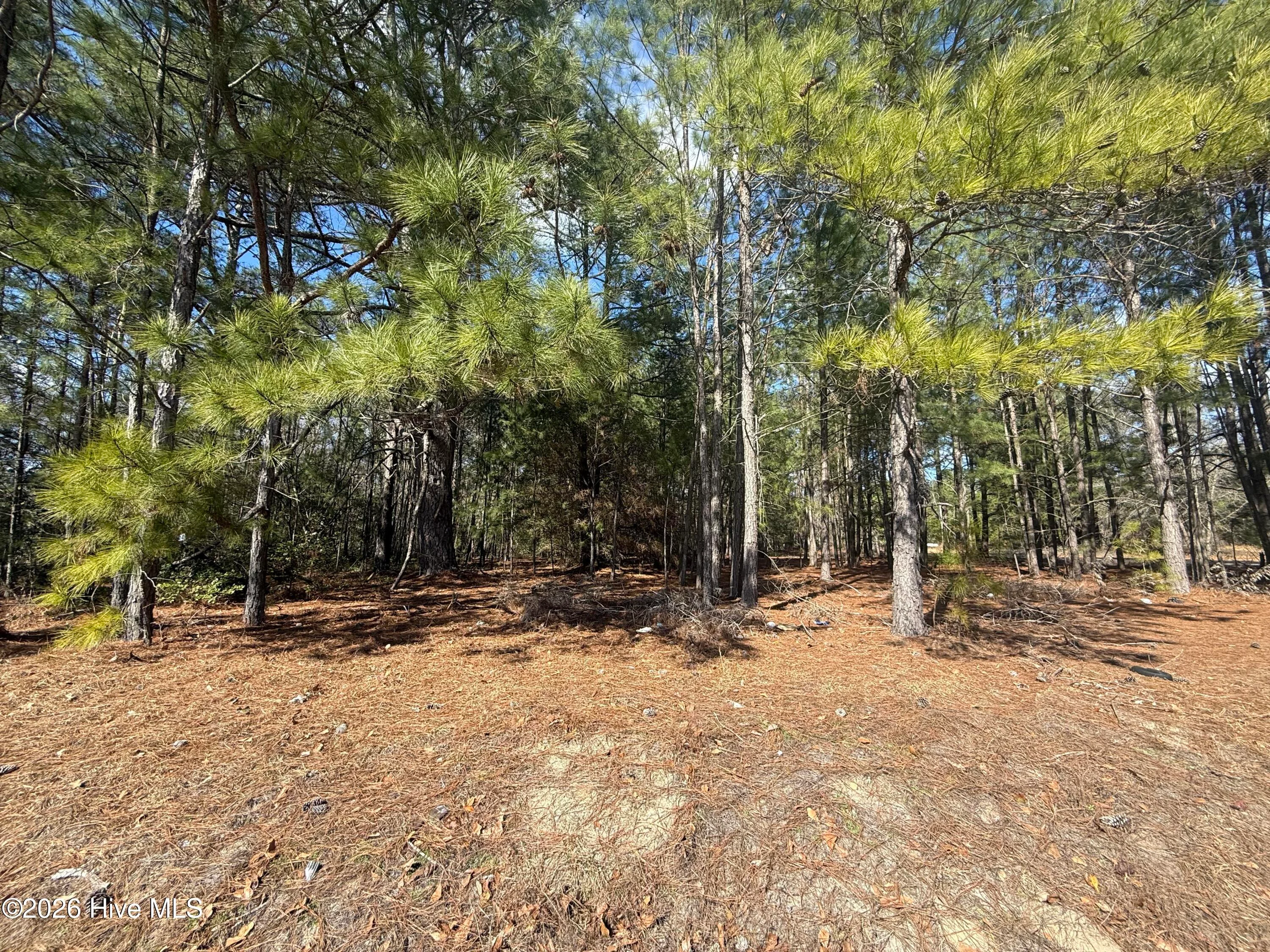 Tbd Mizpah Road