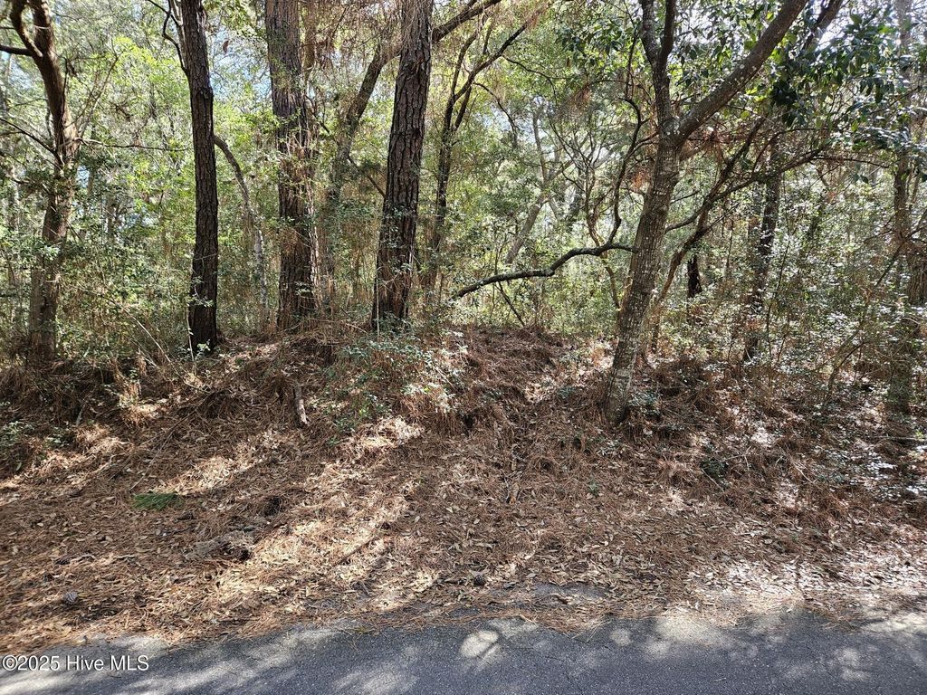 Photo of 43 Fort Holmes Trail, Bald Head Island, NC 28461 (MLS # 100492271)