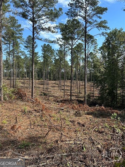 Vacant Land For Sale - Seven Islands Road<br/> Madison, GA 30650