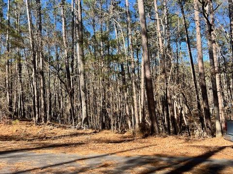 Vacant Land For Sale - Oconee Lane<br/> Mccormick County, McCormick, SC 29835