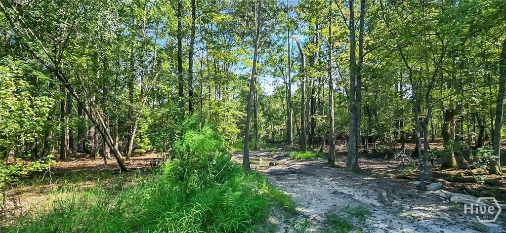 Photo of 0 4th St, Guyton, GA 31312 (MLS # SA354518)