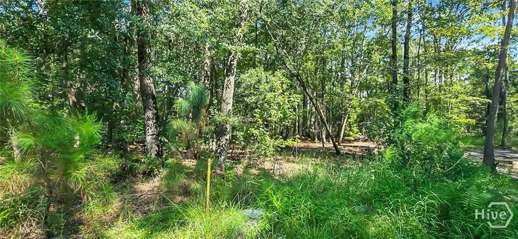 Photo of 0 4th St, Guyton, GA 31312 (MLS # SA354518)