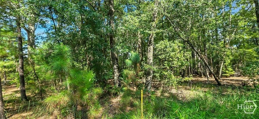 Photo of 0 4th St, Guyton, GA 31312 (MLS # SA354518)