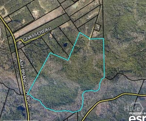 Vacant Land For Sale - 6703 Buchan Road<br/> Bulloch County, Pembroke, GA 31321